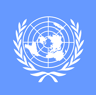 International Organizations (United Nations, UNICEF, UNESCO, WHO, ILO, UNDP)